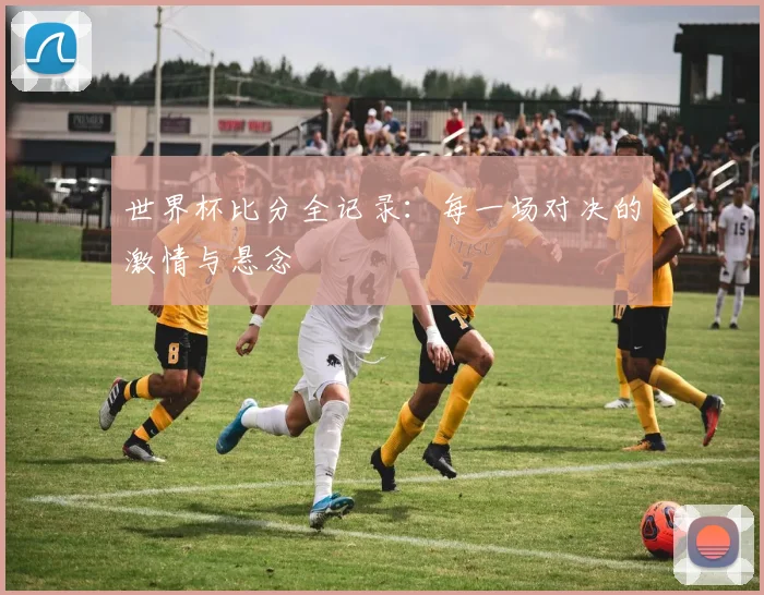 世界杯比分全记录:每一场对决的激情与悬念