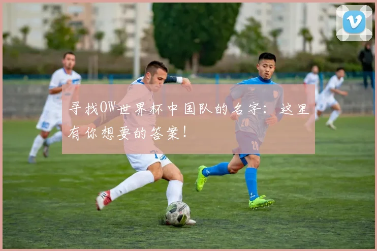 寻找OW世界杯中国队的名字:这里有你想要的答案!