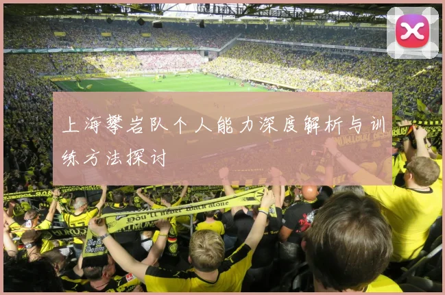 上海攀岩队个人能力深度解析与训练方法探讨