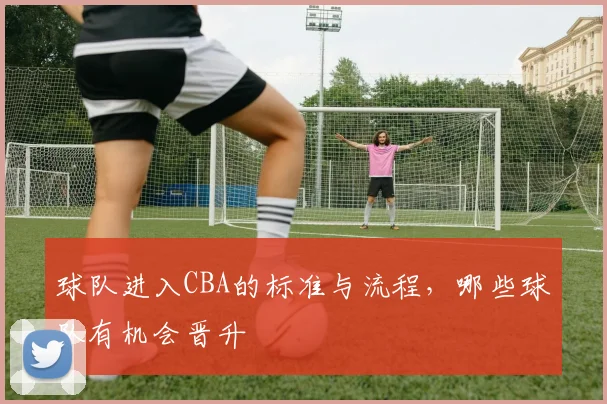 球队进入CBA的标准与流程，哪些球队有机会晋升