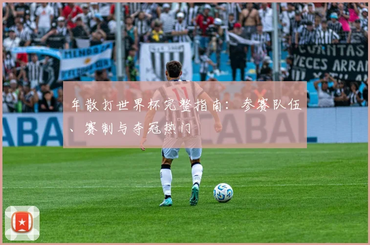 年散打世界杯完整指南：参赛队伍、赛制与夺冠热门