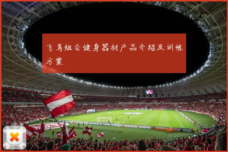 飞鸟组合健身器材产品介绍及训练方案