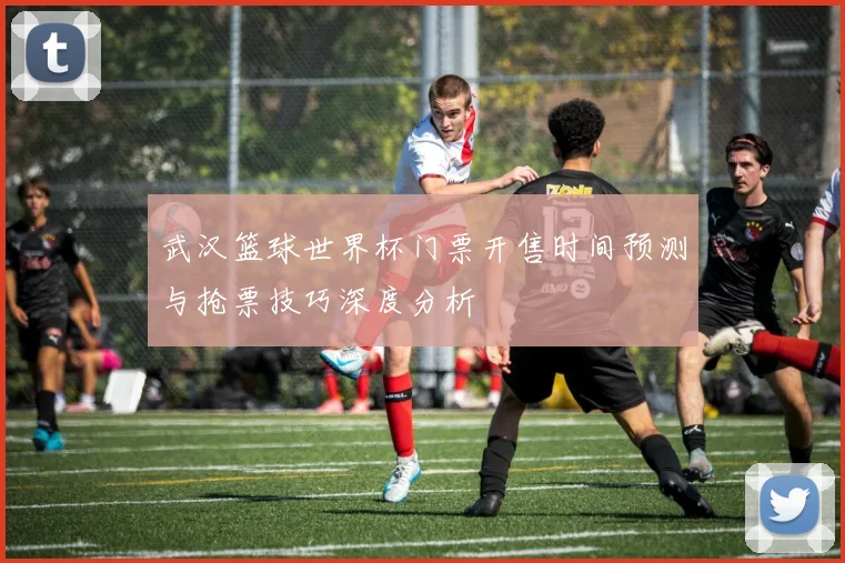 武汉篮球世界杯门票开售时间预测与抢票技巧深度分析