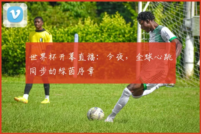 世界杯开幕直播:今夜,全球心跳同步的绿茵序章