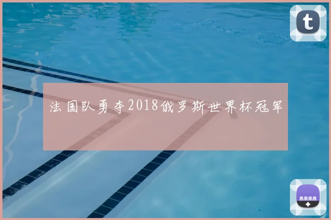 法国队勇夺2018俄罗斯世界杯冠军