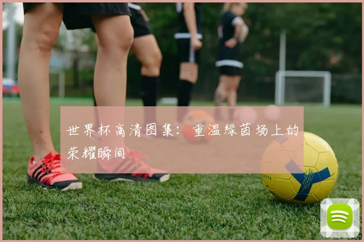 世界杯高清图集:重温绿茵场上的荣耀瞬间